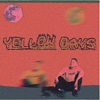 Yellow Days - How Can I Love You?