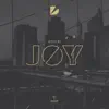 Stream & download Joy - Single