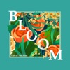 Bloom, 2018