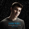Shawn Mendes - This Is What It Takes
