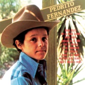 Pedrito Fernandez - Flores A Mi Madre (Album Version)