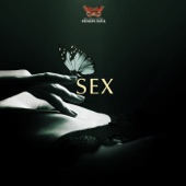 Sex artwork
