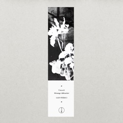 Umwelt - Nocturnal March