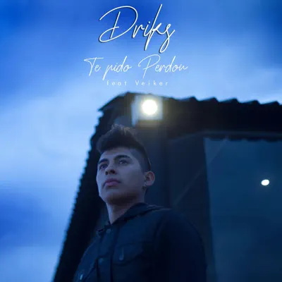 Te Pido Perdon (feat. Veiker) - Single - Driks