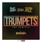 Trumpets (3Ball MTY Remix) [feat. Sean Paul] - Sak Noel & Salvi lyrics