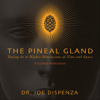 The Pineal Gland: Tuning in to Higher Dimensions of Time and Space - Dr. Joe Dispenza