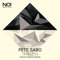 Timeless (Oscar House Remix) - Pete Sabo lyrics