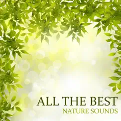 All the Best Nature Sounds: Relaxing New Age, Sleep Deep Meditation, Serenity Spa, Anxiety and Stress Quick Relieve by Relaxing Nature Sounds Collection album reviews, ratings, credits