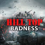 Hill Top Badness artwork