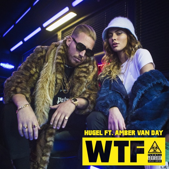Cover artwork for WTF (feat. Amber Van Day)