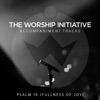 Psalm 16 (Fullness of Joy) [The Worship Initiative Accompaniment] - Single