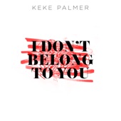 I Don't Belong to You artwork