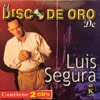 Disco De Oro De Luis Segura, 2000