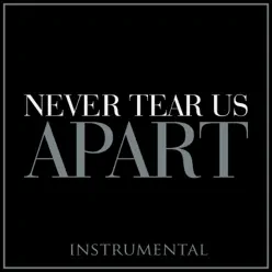 Never Tear Us Apart (Instrumental) - Single - The Blue Notes Never Tear Us Apart (Instrumental) - Single - The Blue Notes