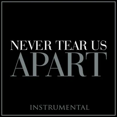 Never Tear Us Apart (Instrumental) - Single - The Blue Notes