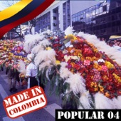 Made In Colombia / Popular / 4 artwork