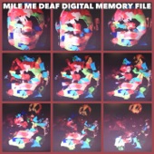 Digital Memory File artwork