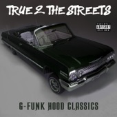 True 2 the Streets: G-Funk Hood Classics artwork