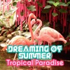 Dreaming of Summer - Tropical Paradise, Impressive Nature Sounds, Exotic Moments of Pure Relaxation