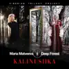 Stream & download Kalinushka (English Version) - Single