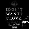 I Don't Want to Love (Feat: Semme Automatic) - Single