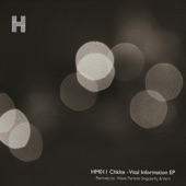 Vital Information (Vern Remix) artwork