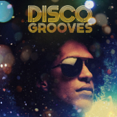 Disco Grooves - Various Artists