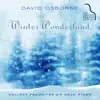 Winter Wonderland: Holiday Favorites on Solo Piano album lyrics, reviews, download