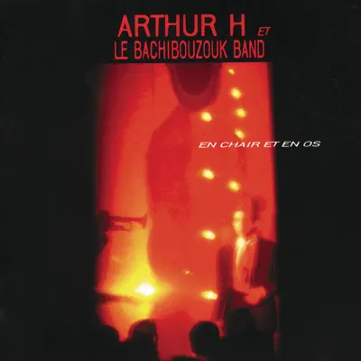 En chair et en os (live) - Arthur H