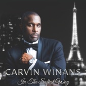 Carvin Winans - Once in a Lifetime