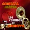 Domingo Corrales - Chibuya & Banda Los Gallitos lyrics
