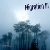 Migration III artwork