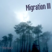 Polaris6424 - Migration III