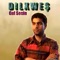 Delal Heyran - Dılxweş lyrics