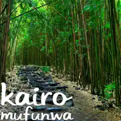 Mufunwa - Single by KAiRO album reviews, ratings, credits