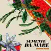 Semente da Maré - Single album lyrics, reviews, download