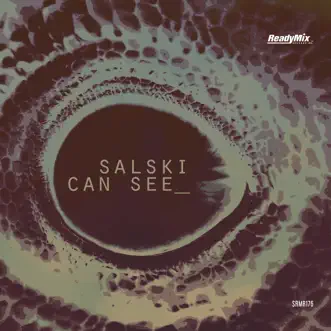 Can See (Jelly for the Babies Remix) by Salski song reviws