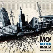 Mo' Better Rootz artwork