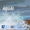 Aquai - Single (feat. Arsene Duevi) - Single