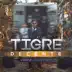 Tigre Decente album cover