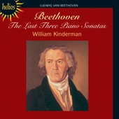 Beethoven: The Last Three Piano Sonatas artwork