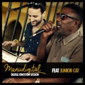 Digital Kingston Session (feat. Junior Cat) artwork