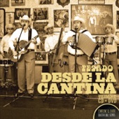 Desde La Cantina Vol. II (Live At Nuevo León México / 2009) artwork