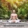 Mirakel av tropisk meditation: Exotisk mantra, Yoga med naturen, Ayurveda paradiset, Djungel medvetenhet album lyrics, reviews, download