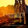 Stream & download Pleasant Dream Melodies: Chimes Catcher & Wind – Music with Bells for a Deeper Sleep, Lucid Dreaming, Relax & Meditation at Midnight