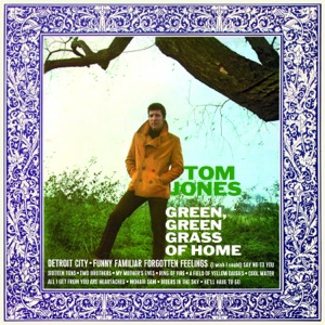Green Green Grass of Home Artwork