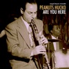 Peanuts Hucko & Alex Welsh & His Band - Stolen Peanuts