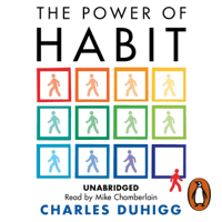 Charles Duhigg - The Power of Habit artwork