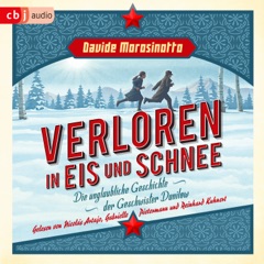 Verloren in Eis und Schnee