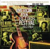 American Folk Blues, Vol. 2